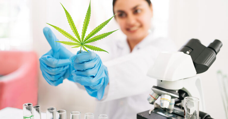 Lab technician holding up a cannabis leaf
