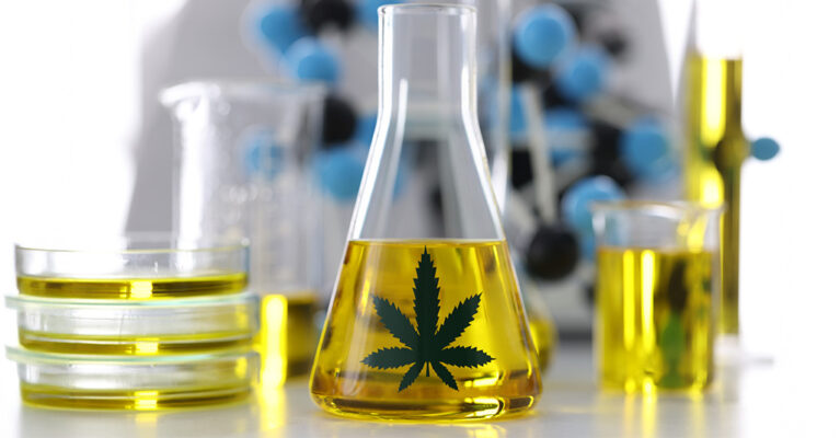 Laboratory glassware with cannabis oil