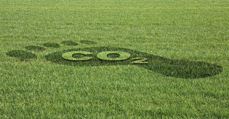 Footprint with CO2 symbol on grass